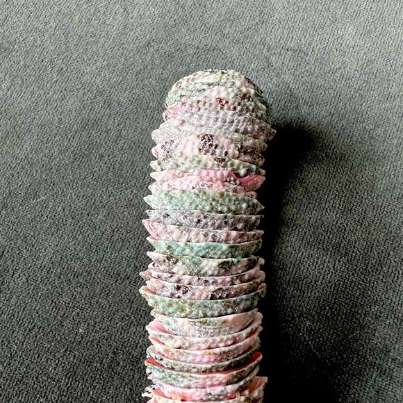 Bracelet made with real pink shells - Picture 4 of 4